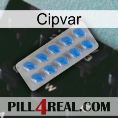 Cipvar 22